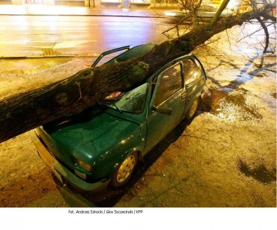 Strach przed naturą