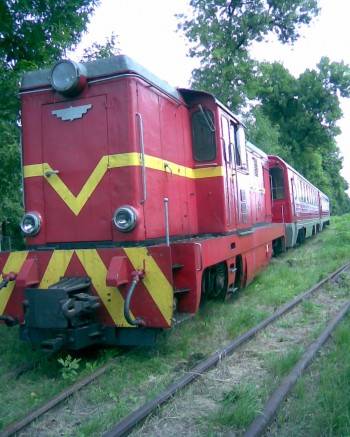 Wąskotorówką do Rostkowa