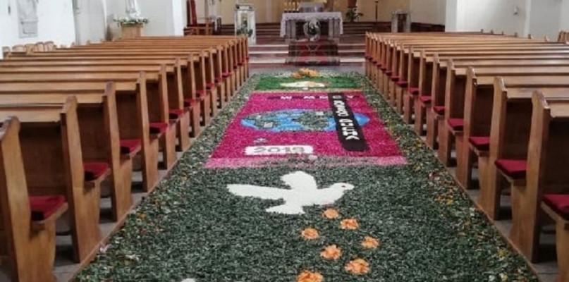 Przasnyski dywan z kwiatów. Tylko do poniedziałku możesz go zobaczyć!