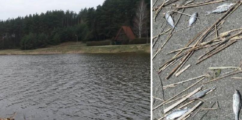 Co się dzieje na Łojach? Wędkarze biją na alarm!