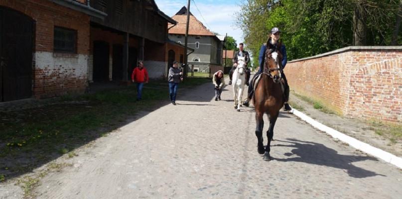 Z perspektywy końskiej grzywy zwiedzili i nakręcili film o Krasnem