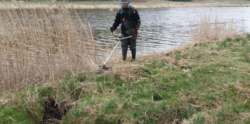 Wędkarze nie łowili tylko wzięli do ręki kosy! Zobacz zdjęcia ?