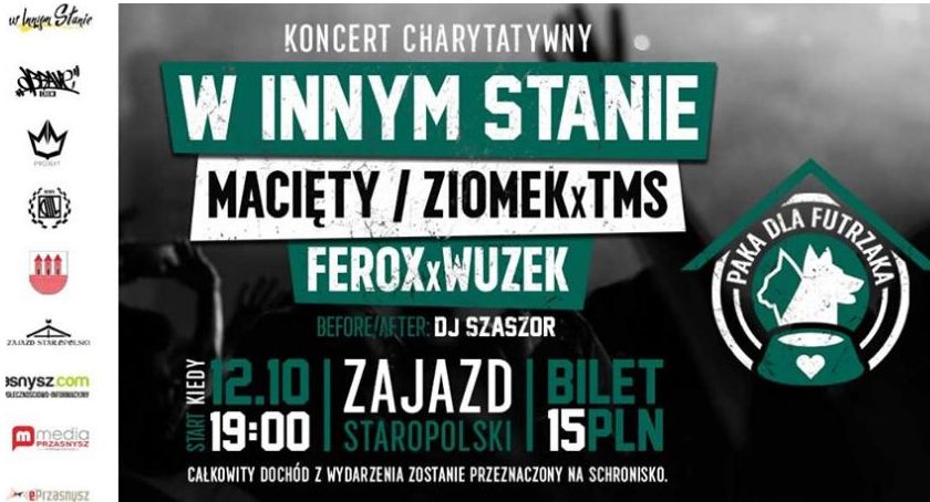 Charytatywnie dla zwierzaków