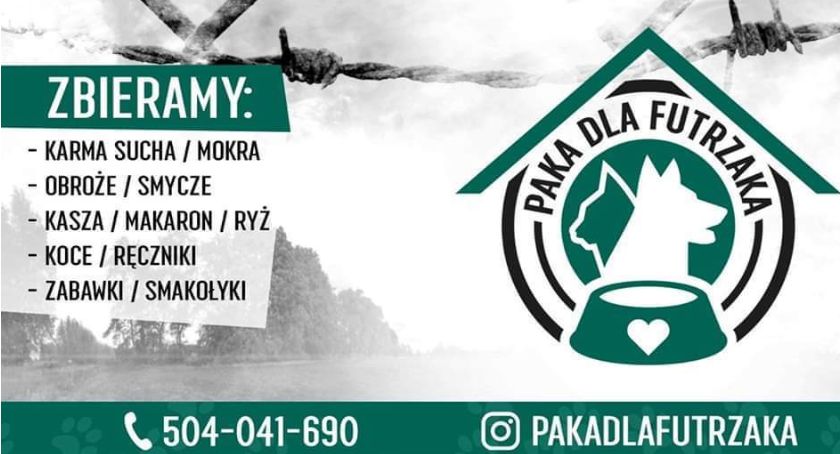 Paka dla Futrzaka nadal działa