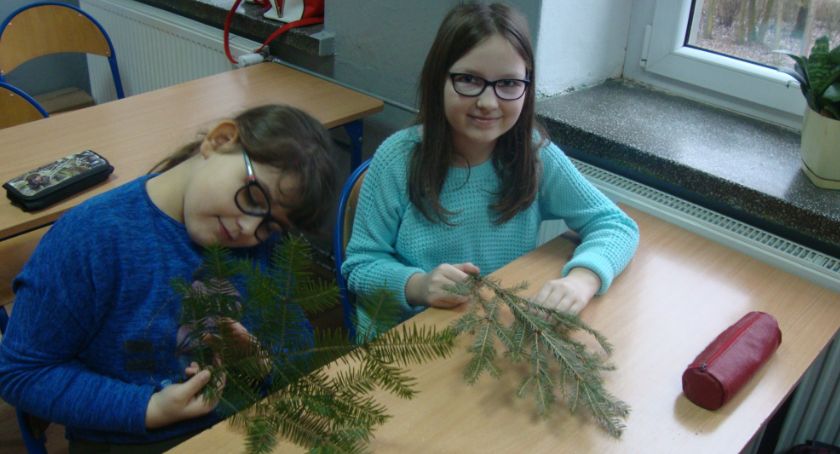 Poznali Drzewa naszych lasów