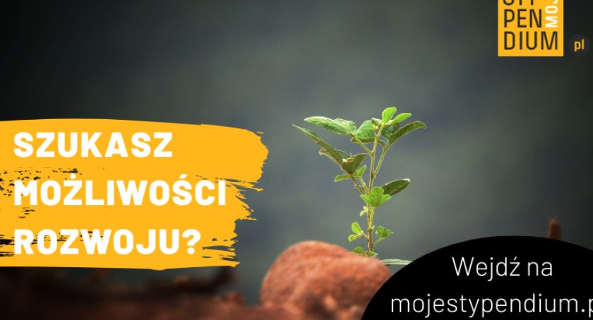 Dla kogo są stypendia i jak je znaleźć?