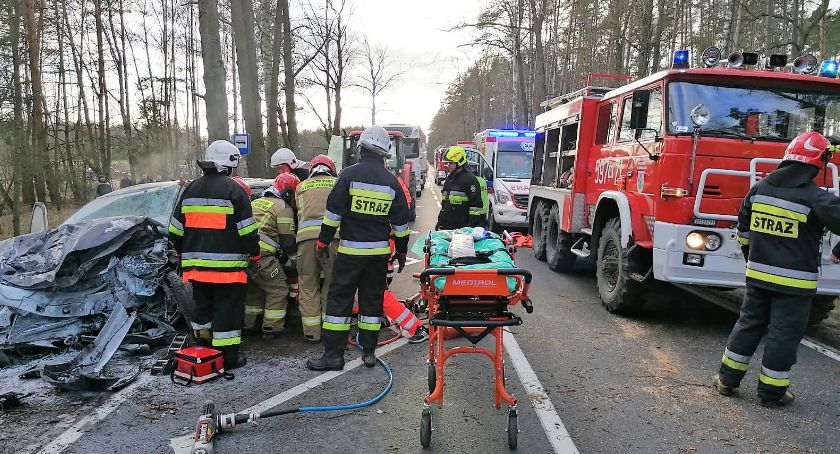 Citroen uderzył w drzewo. Dwie osoby trafiły do szpitala