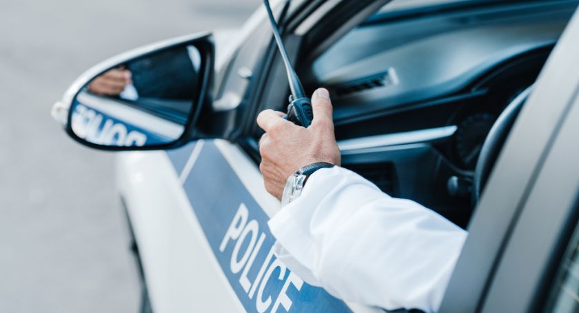 Cztery kolizje jednego dnia. Dwie podczas cofania i dwie ze zwierzęciem