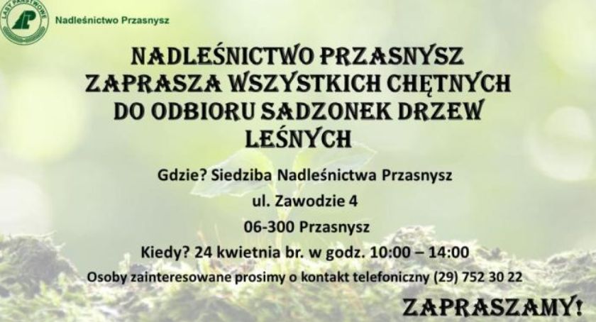Dołącz do ogólnopolskiej akcji #sadziMY. Odbierz darmową sadzonkę