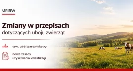 Będzie można prowadzić ubój pastwiskowy. Minister po&hellip;
