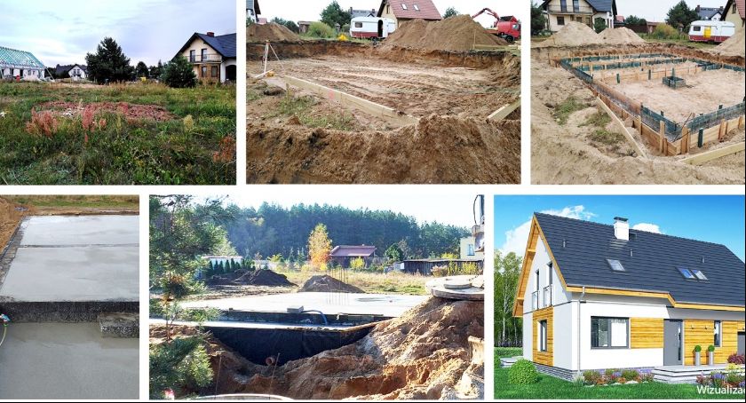 Żukowskie czworaczki potrzebują nowego domu - trwa zbiórka