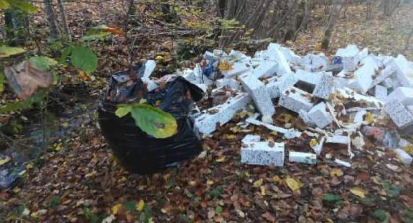 100 tys. zł rocznie za utylizacje śmieci z lasów - nadleśnictwo rozkłada ręce 