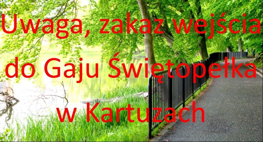 Kartuzy. Ze względu na wichury wprowadzono zakaz wejścia do Gaju Świętopełka