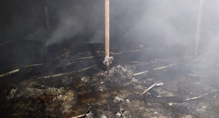Podjazy. Spłonął kurnik - straty sięgają miliona złotych