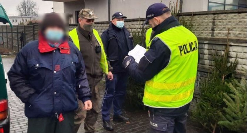 Policjanci i strażnicy leśni sprawdzają legalność sprzedawanych choinek