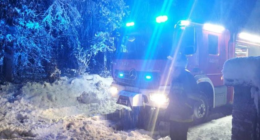 Ktoś podciął 20 drzew przy drogach wojewódzkich. Z zagrożeniem walczyli strażacy