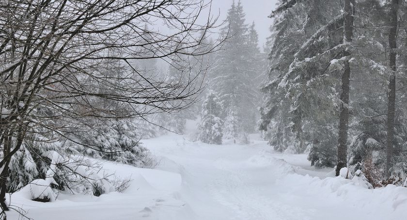 Nadciąga śnieżyca - wydano ostrzeżenia I stopnia