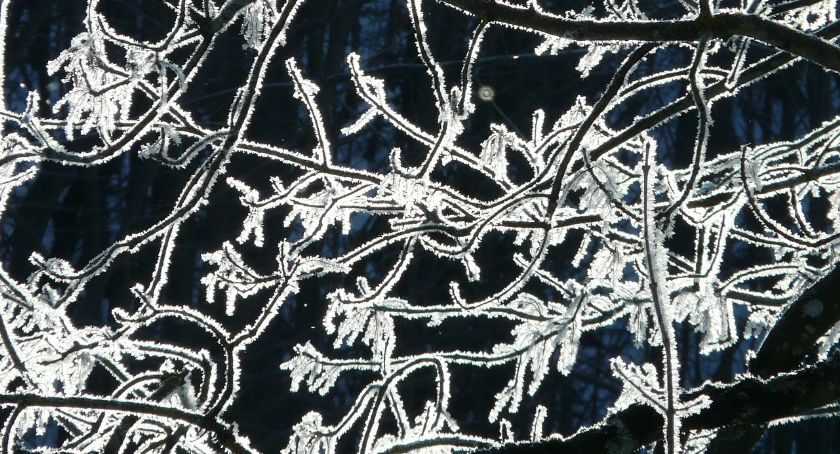 Uwaga na mróz! Temperatury mogą spaść 20 stopni poniżej zera!
