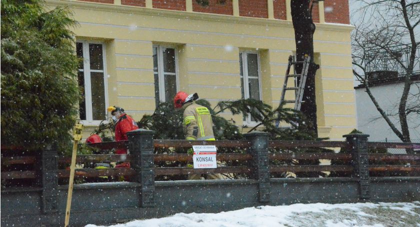 Kartuzy. Mężczyzna przygnieciony przez drzewo