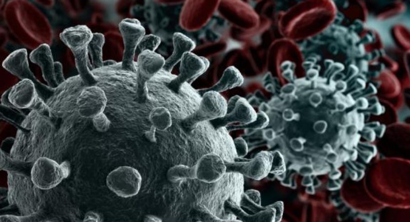 36 nowych zakażeń i dwa kolejne zgony w powiecie kartuskim