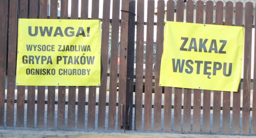 Znamy źródło ptasiej grypy. Wyznaczono obszary zagrożone i zapowietrzone wirusem
