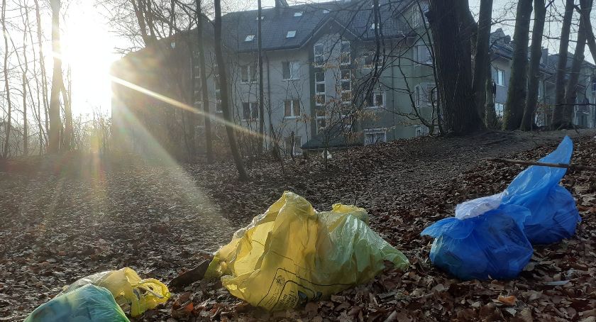 Wyrzucił śmieci do lasu - słono go to kosztowało