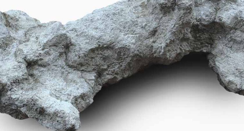 Wystawa 