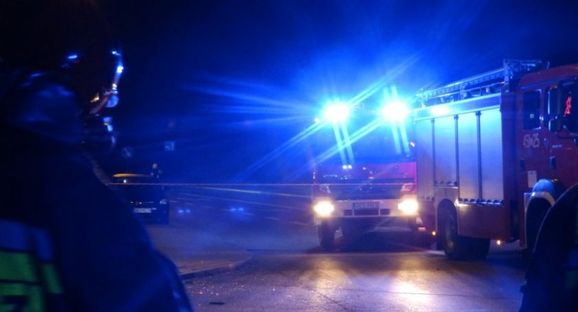 Hopowo. Krowa utknęła w stawie. Ratowali ją strażacy