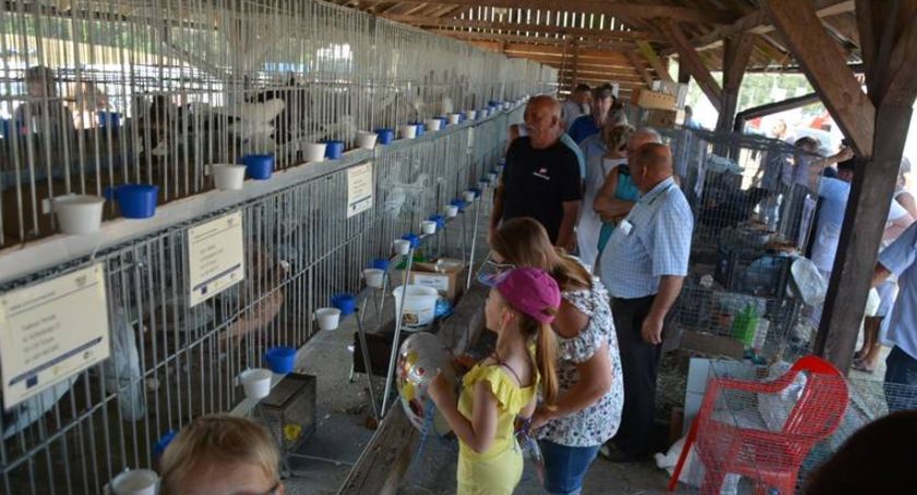 W weekend Agro Targi i Pomorska Wystawa Zwierząt Hodowlanych w Lubaniu