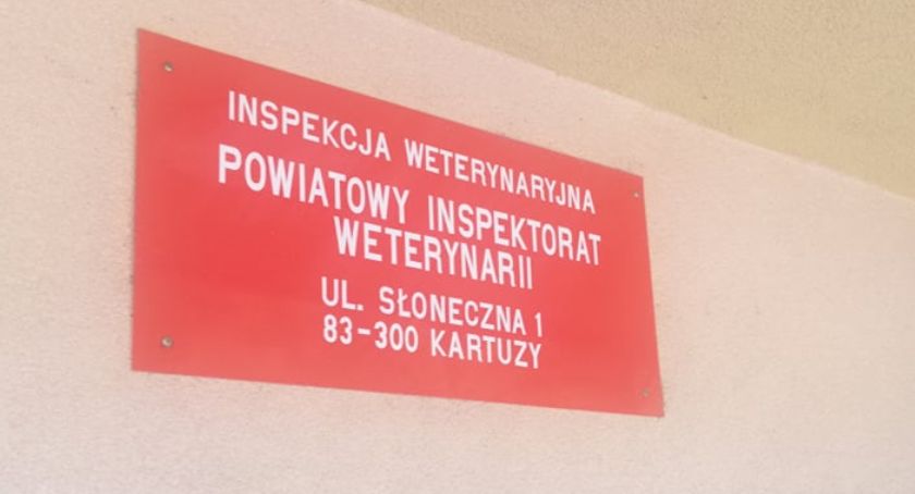 W Glinczu było 11.000 martwych ptaków - znamy szczegóły!