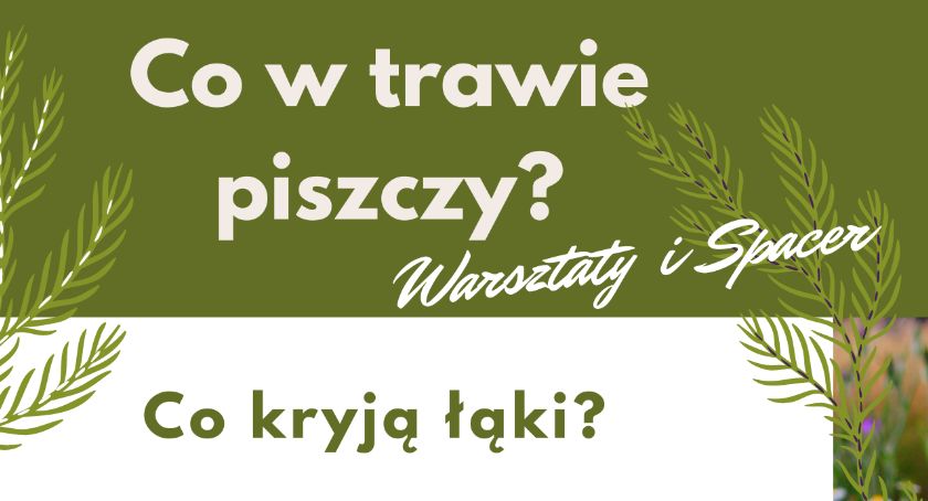 Dowiedz się co w trawie piszczy i weź udział w warsztatach edukacyjnych w Somoninie