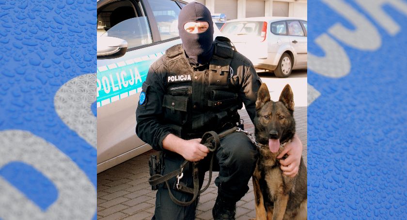 Czworonożni bohaterowie - psy w służbie policji