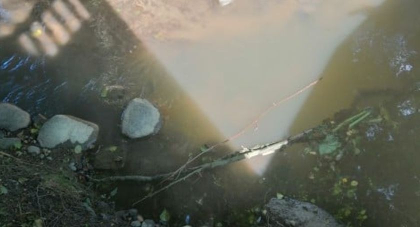 Chwaszczyno. Do rzeki Strzelenka wpływają nieczystości?