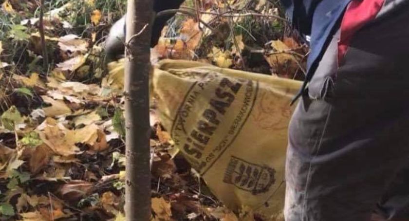 Włożył kota do worka i wyrzucił do lasu
