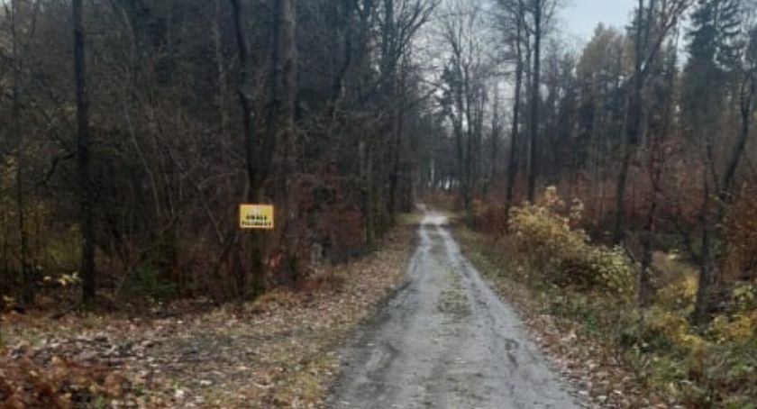 Polowanie w Kartuzach. Myśliwi wyjaśniają