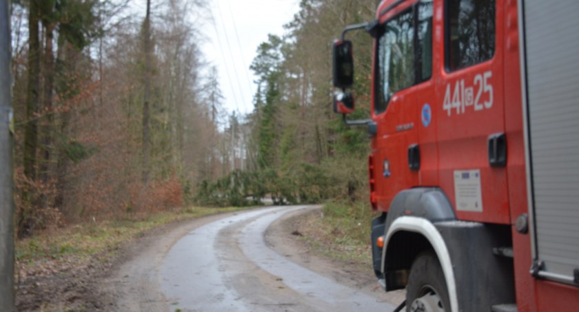 Wiatr łamie drzewa i zrywa dachy - strażacy interweniują