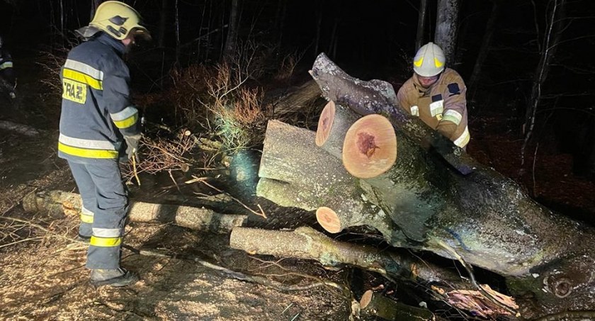 Strażacy usuwają skutki nocnej wichury
