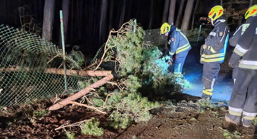 Blisko 230 strażackich interwencji i brak prądu w powiecie kartuskim