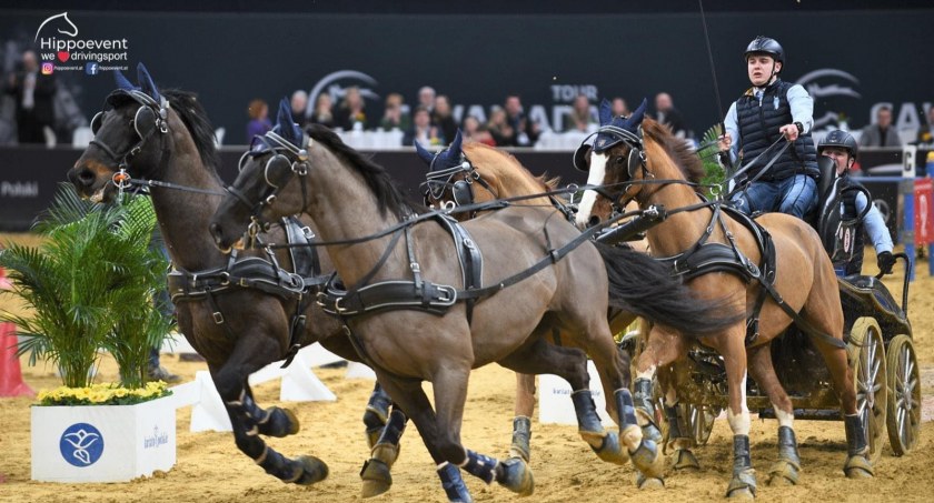 Aleksander Fularczyk najlepszy w pierwszym konkursie Cavaliady Driving Tour w Krakowie