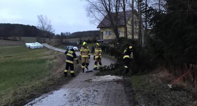 Wichura znów daje się we znaki - strażacy interweniują