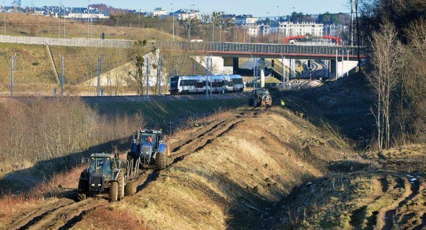Zakończono prace przy wycince drzew na bajpasie kartuskim