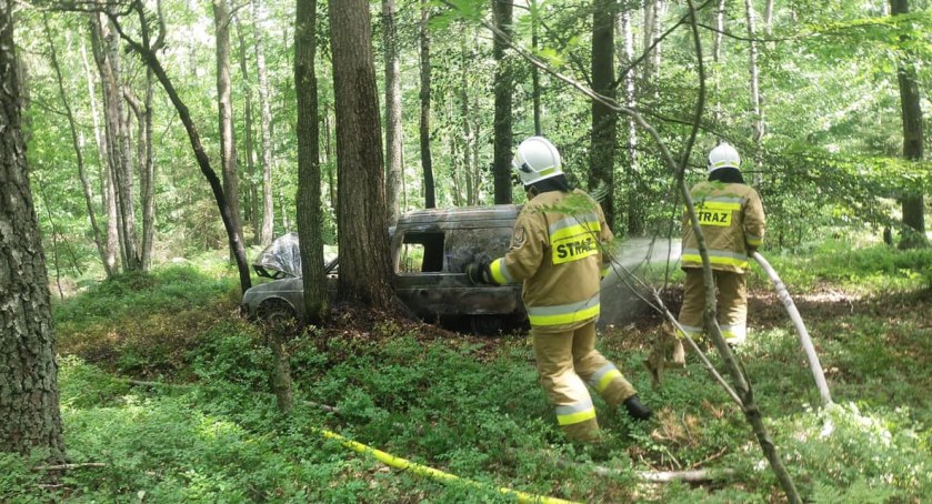 Skradzione auto rozbił w lesie. Pojazd spłonął, policja ściga sprawcę
