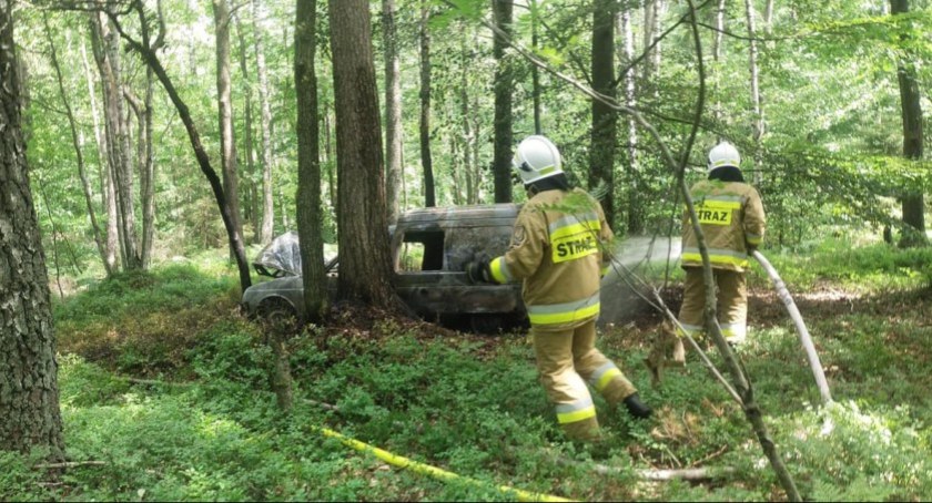 Jest areszt dla 30-latka, który skradzionego citroena rozbił i spalił w lesie