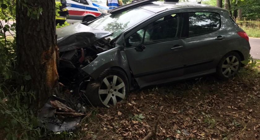 Sulęczyno-Lipusz. Peugeot uderzył w drzewo - są ranni