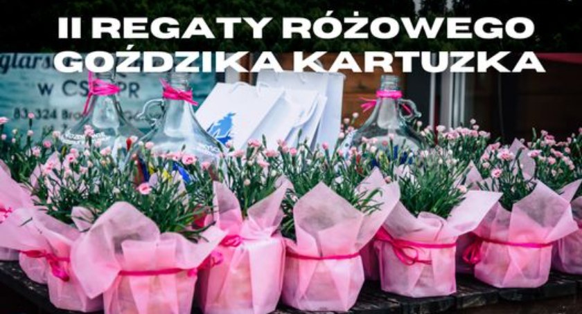 Już wkrótce Regaty Różowego Goździka Kartuzka na jeziorze Brodno Wielkie