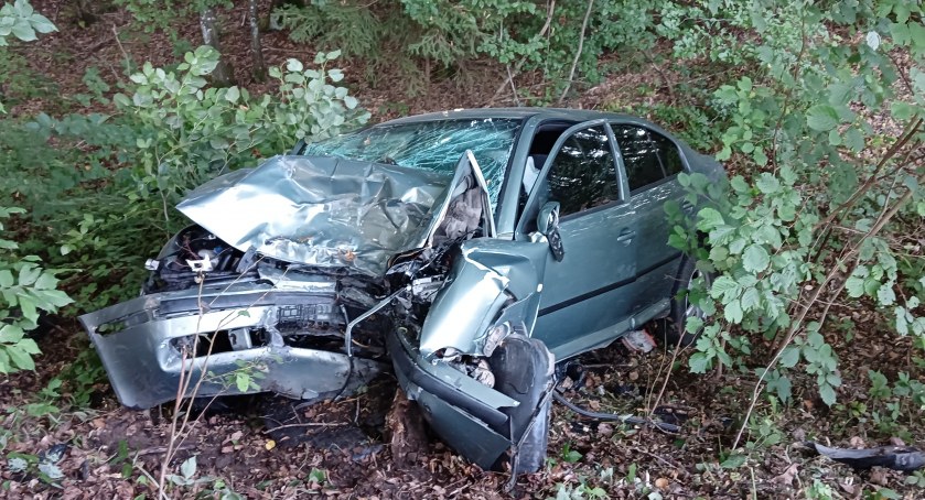 Skoda uderzyła w drzewo na trasie Egiertowo-Kamela