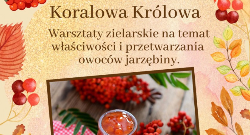 Somonino. Edukacyjne warsztaty zielarskie poświęcone jarzębinie