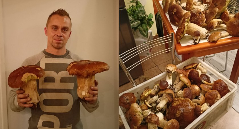 Grzybobranie trwa! Mieszkańcy chwalą się swoimi zdobyczami