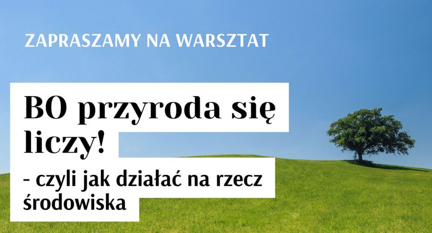 Warsztaty ekologiczne w Chwaszczynie