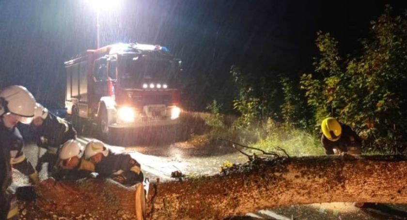 Orkan nad Kaszubami. Wiatr łamie drzewa - strażacy interweniują